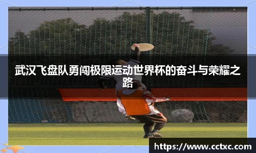 武汉飞盘队勇闯极限运动世界杯的奋斗与荣耀之路